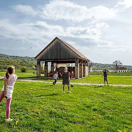 Skanzen فندق